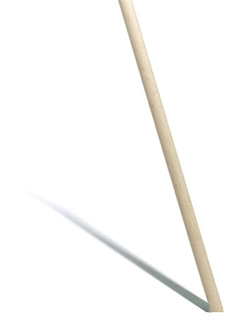 Bild von Stiel zu Bodenwischer Rosshaar