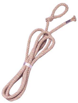 Bild von Spanset Gerüststricke beige d: 12mmx3.5m