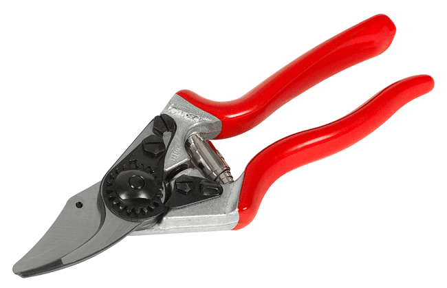 Bild von Felco Gartenschere Modell 6